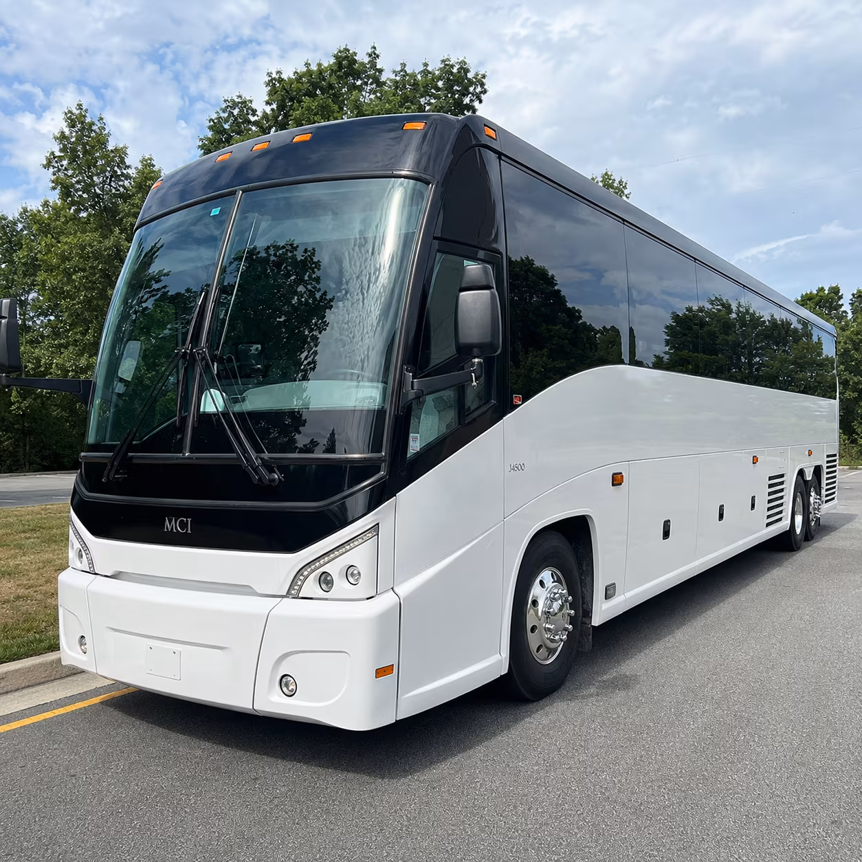 large family groups reunions and international travel from missouri city